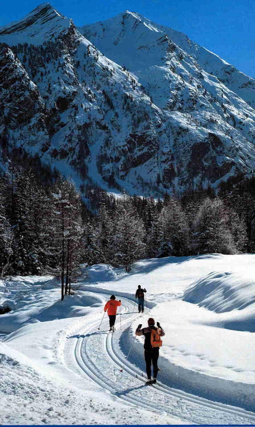 Hotel Tavernier Courmayeur Buitenkant foto